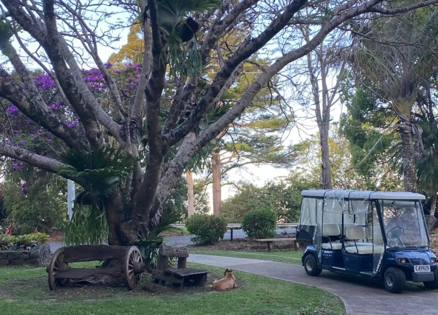 Koala Cabins Sunshine Coast Mapleton