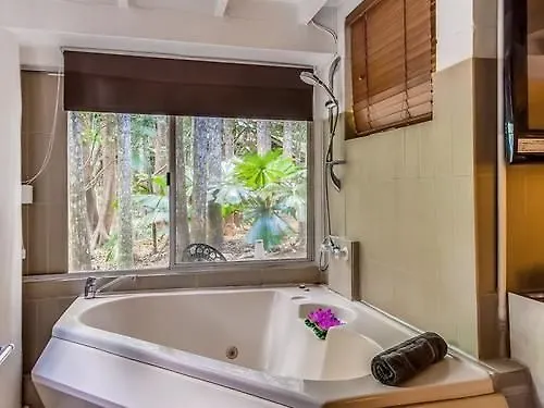 Koala Cabins Sunshine Coast Mapleton Lodge