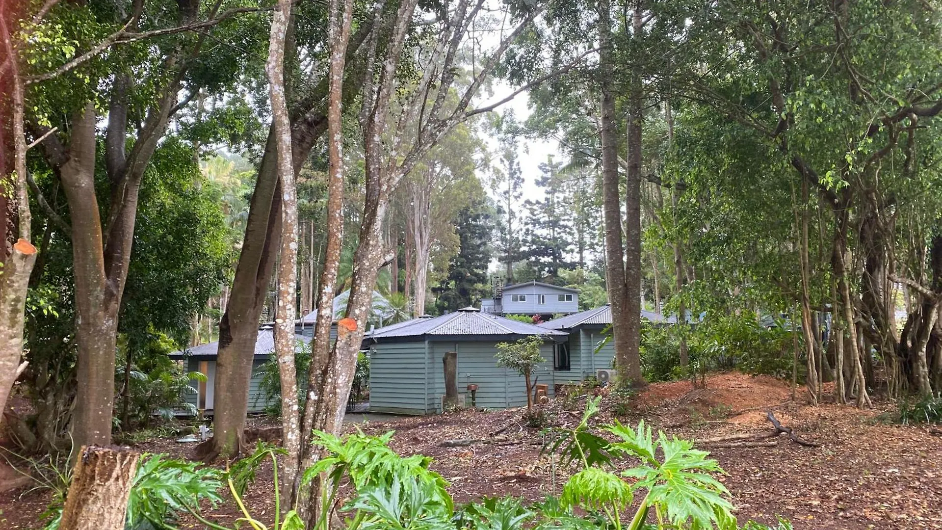 Lodge Koala Cabins Sunshine Coast Mapleton Australia